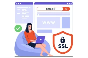 Imagen del Certificado SSL en un sitio web