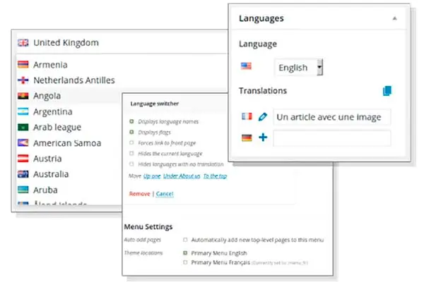 Traducción con Polylang para sitios web